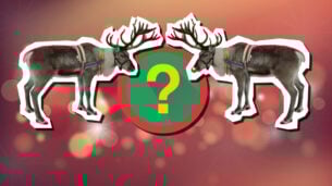 Quiz: Which Reindeer are You?