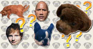 Quiz: Match The Pet To The Owner