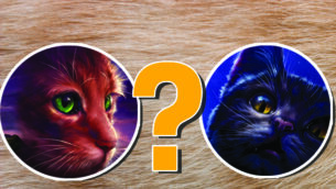 What Warrior Cat Are You?