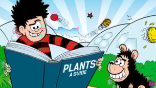 Plant-Based Pandemonium at The Eden Project!