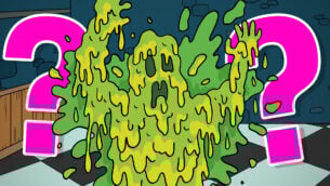The Slime Monster Quiz!