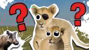 Mufasa: The Lion King Character Quiz