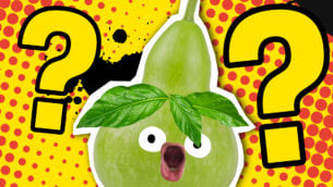 Pokémon Violet Quiz