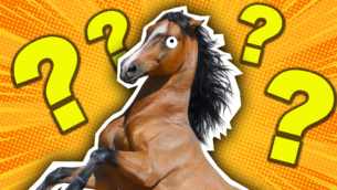 What Horse Breed Am I? Quiz