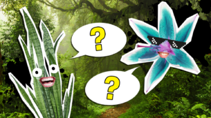 The Ultimate Plants Trivia Quiz