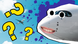 Will You Fly High WIth This Jet-Powered Plane Quiz?