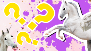 Am I A Unicorn Or Pegasus Quiz