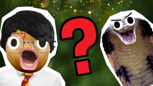 Magical Harry Potter and the Chamber of Secrets Quotes Quiz!