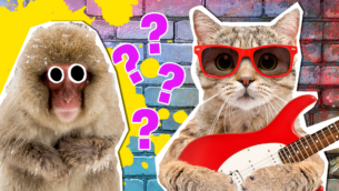 The Ultimate Indie Music Quiz