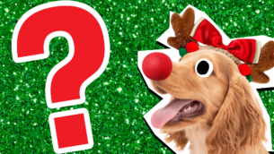 Are You a Max or a Grinch?